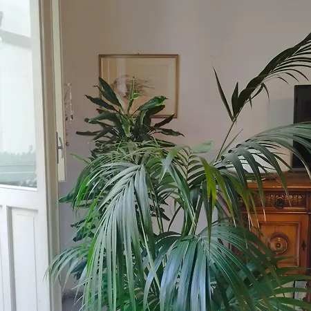 Apartamento Casa Sanna Cagliari